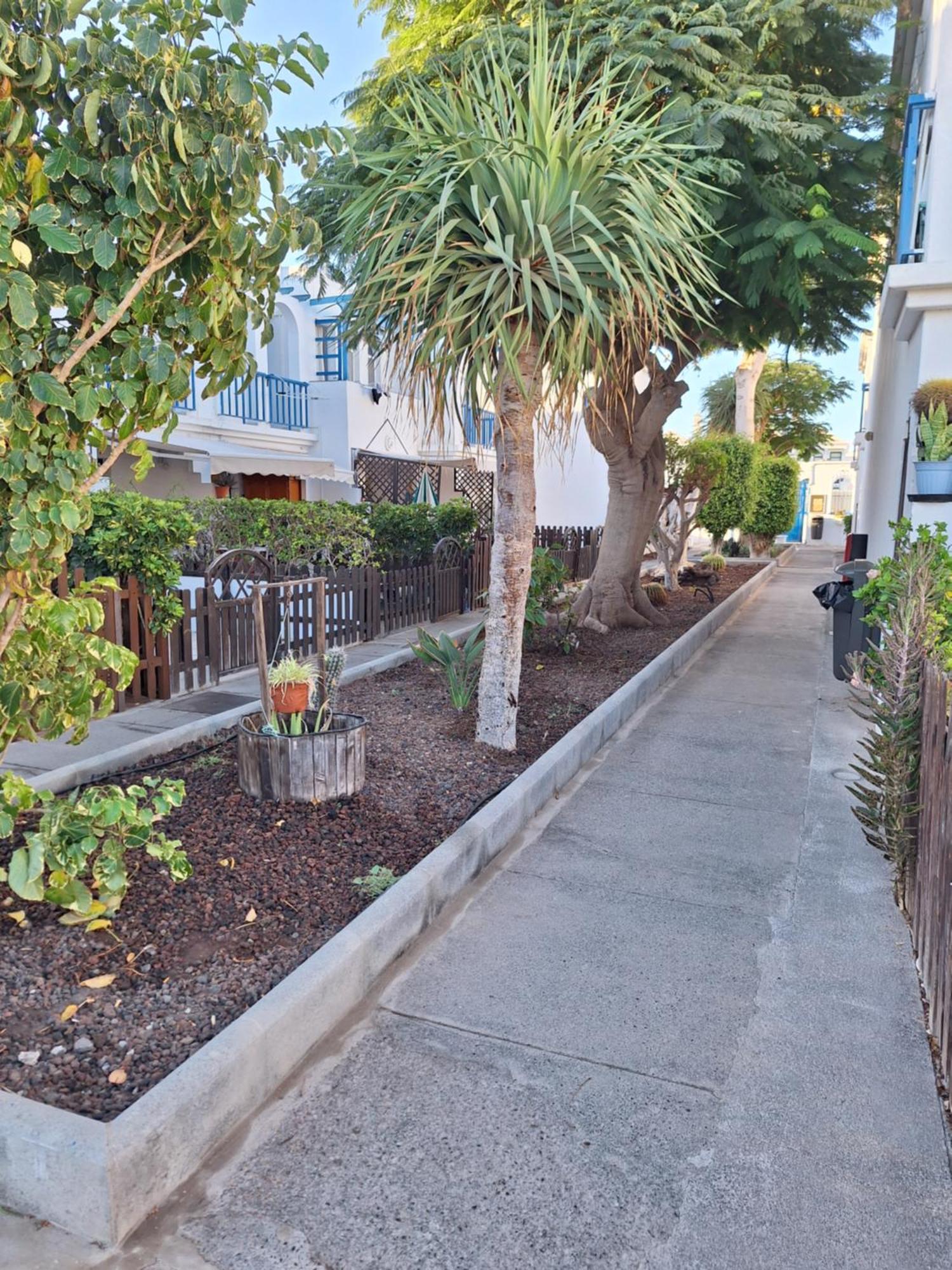 פלאייה דל אינגלז Poolfront Bungalow מראה חיצוני תמונה
