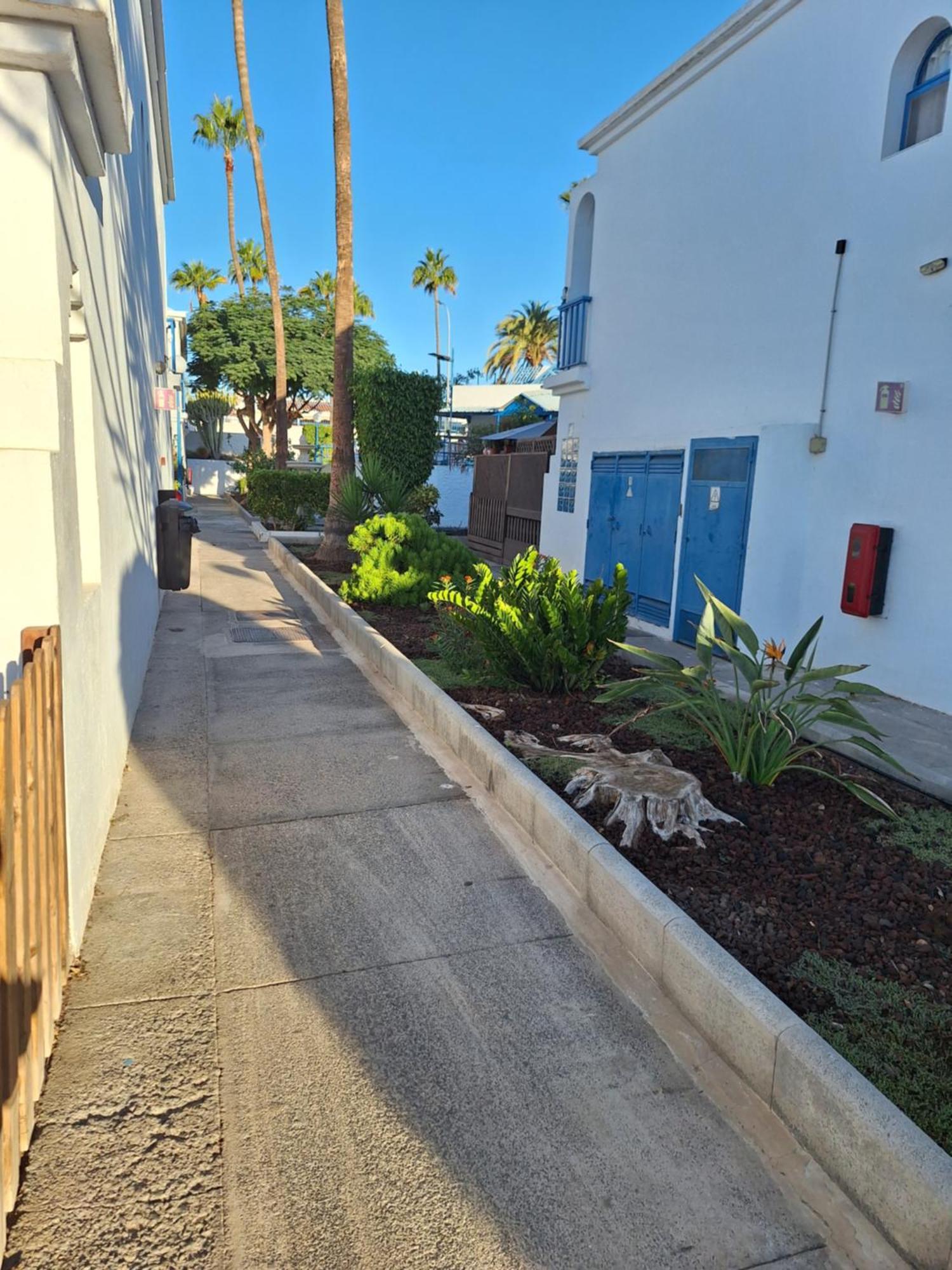 פלאייה דל אינגלז Poolfront Bungalow מראה חיצוני תמונה